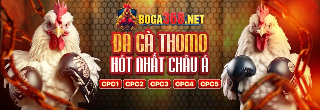 Hình ảnh tổng quan về quy tắc trò chơi tại 68vin đăng nhập, thể hiện sự minh bạch và an toàn
